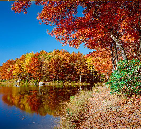 Tryon Foothills Realty in Tryon, NC (4)