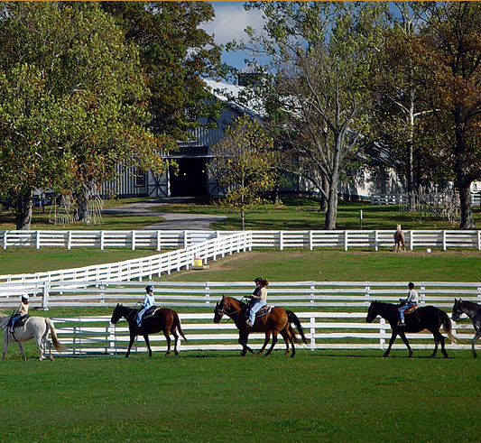 Tryon Foothills Realty in Tryon, NC (6)