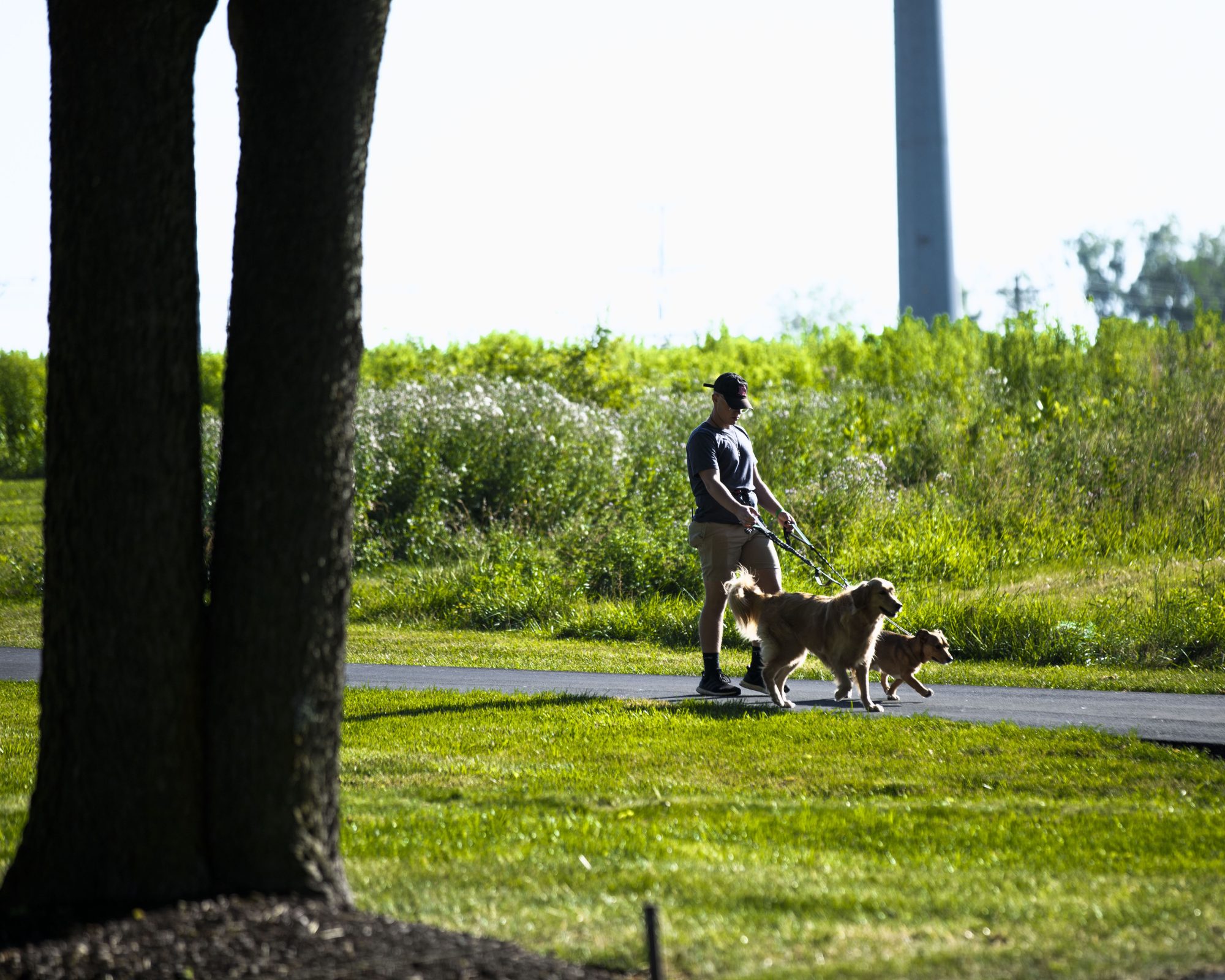 Law's Country Kennel in Roanoke, IN