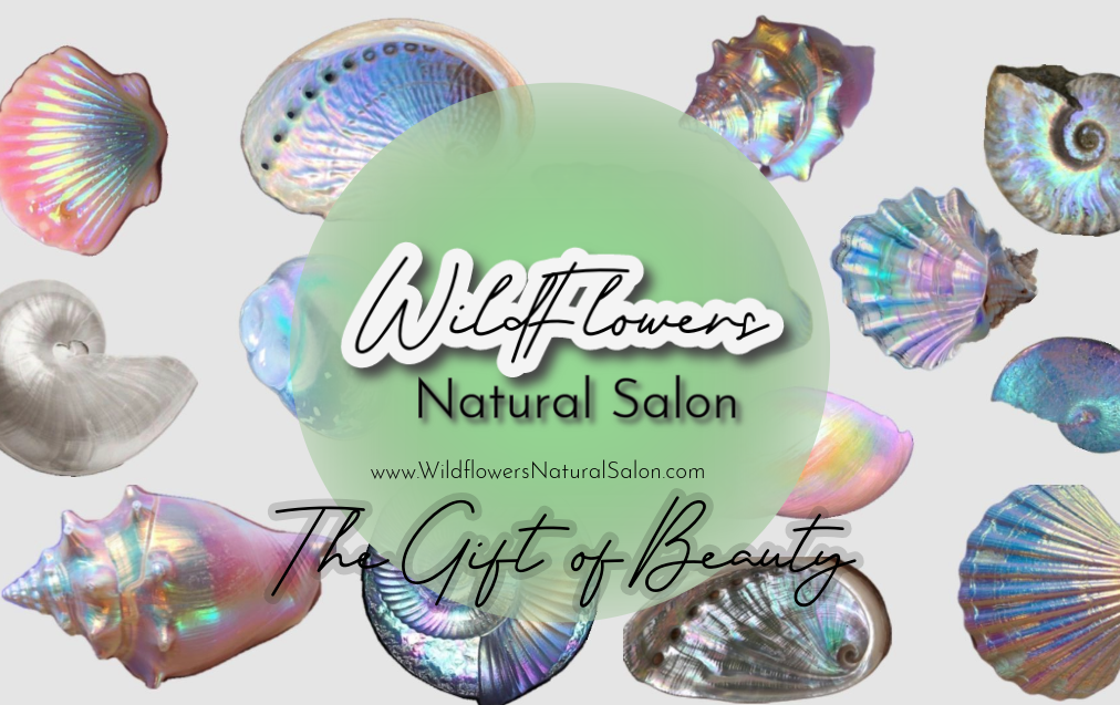 Wildflowers Natural Salon in Bonita Springs, FL (2)