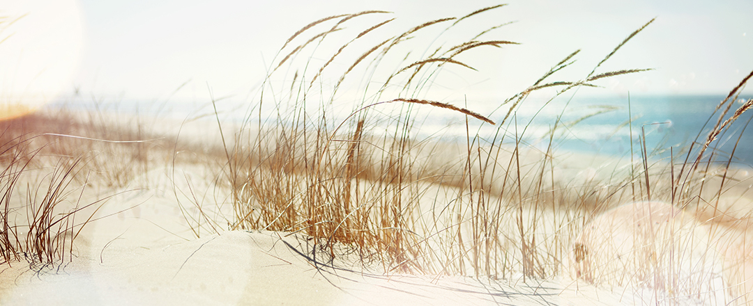 Taylor & Lockard CPA in Cocoa Beach, FL