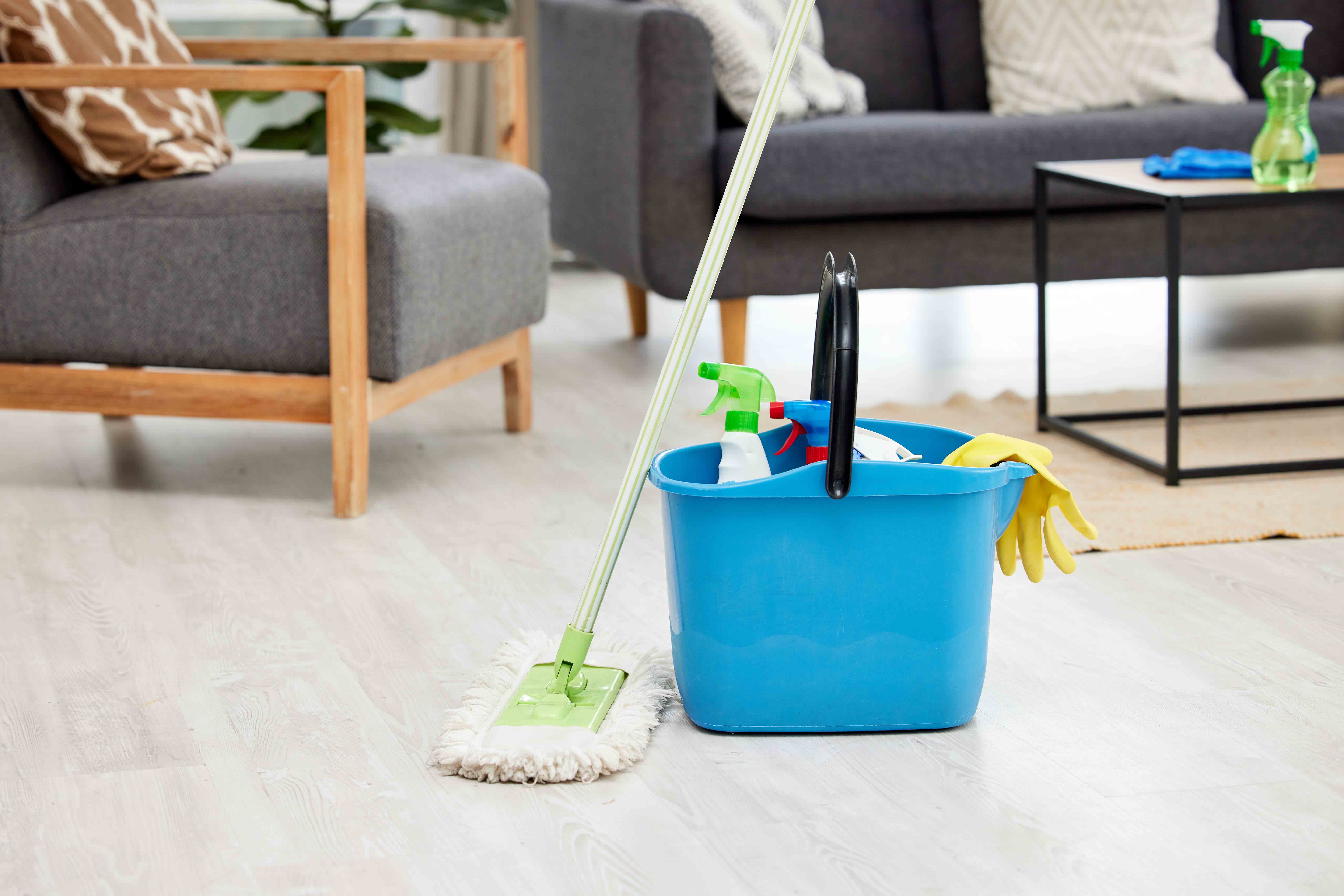 Eleazar Cleaning Services in Arlington, TX (2)