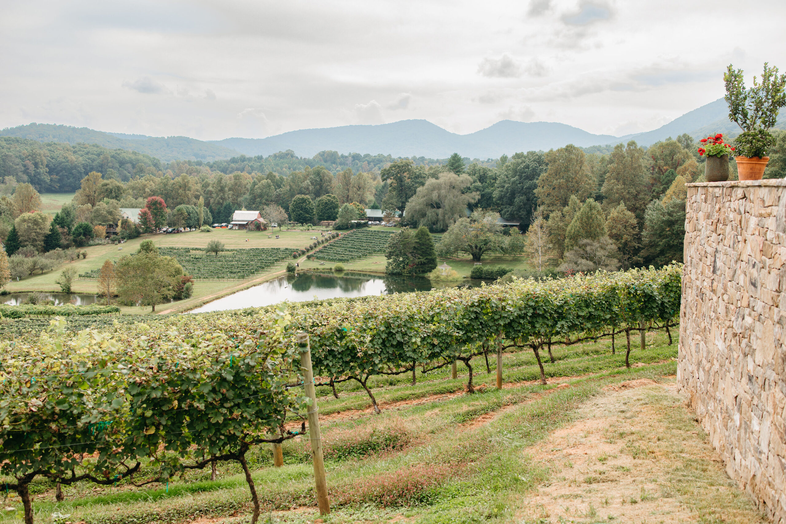 The Farmhouse at Crane Creek Vineyards in Young Harris, GA (5)