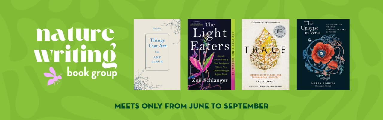 Greenlight Bookstore (Fulton Street) in Brooklyn, NY (5)