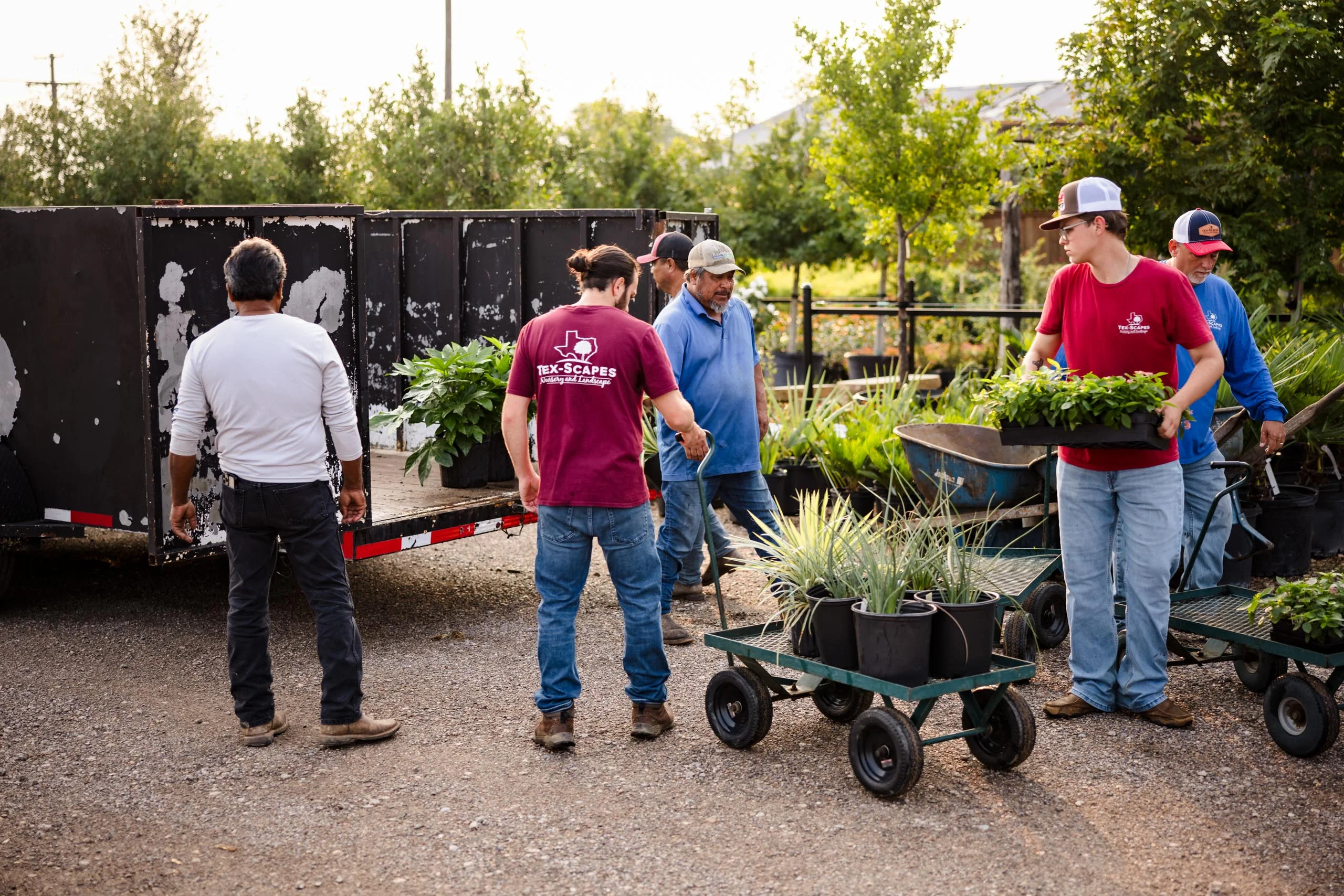 Tex-Scapes Nursery and Landscape in Ennis, TX (3)