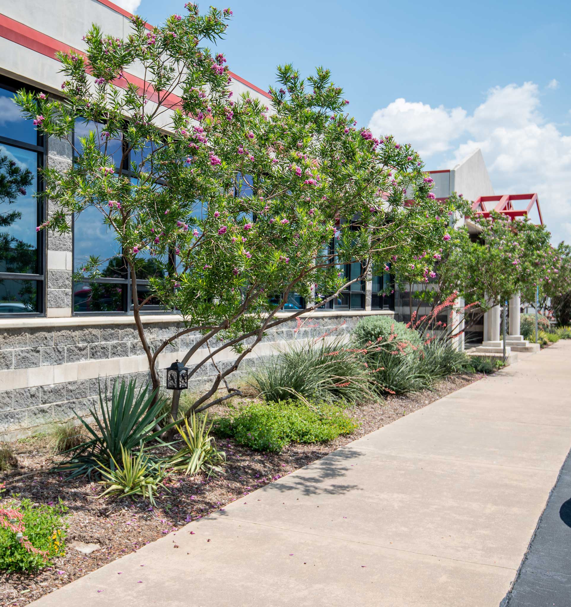 Tex-Scapes Nursery and Landscape in Ennis, TX (4)