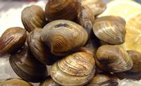 Seven Seas Seafood Market in Murrells Inlet, SC