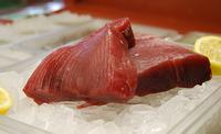 Seven Seas Seafood Market in Murrells Inlet, SC (4)