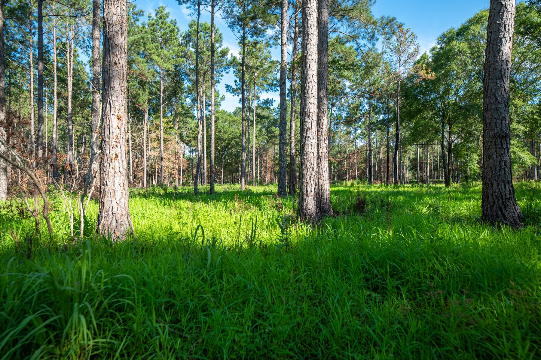 3 Rivers Realty in Bainbridge, GA (3)