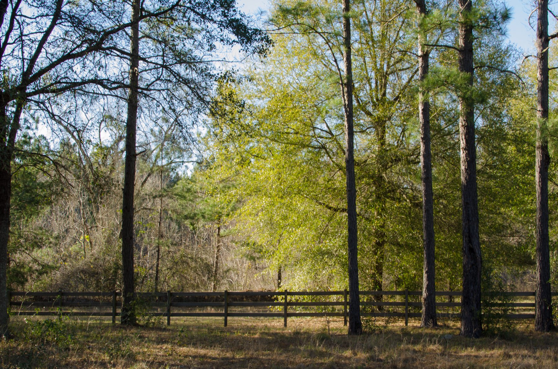 3 Rivers Realty in Bainbridge, GA (4)