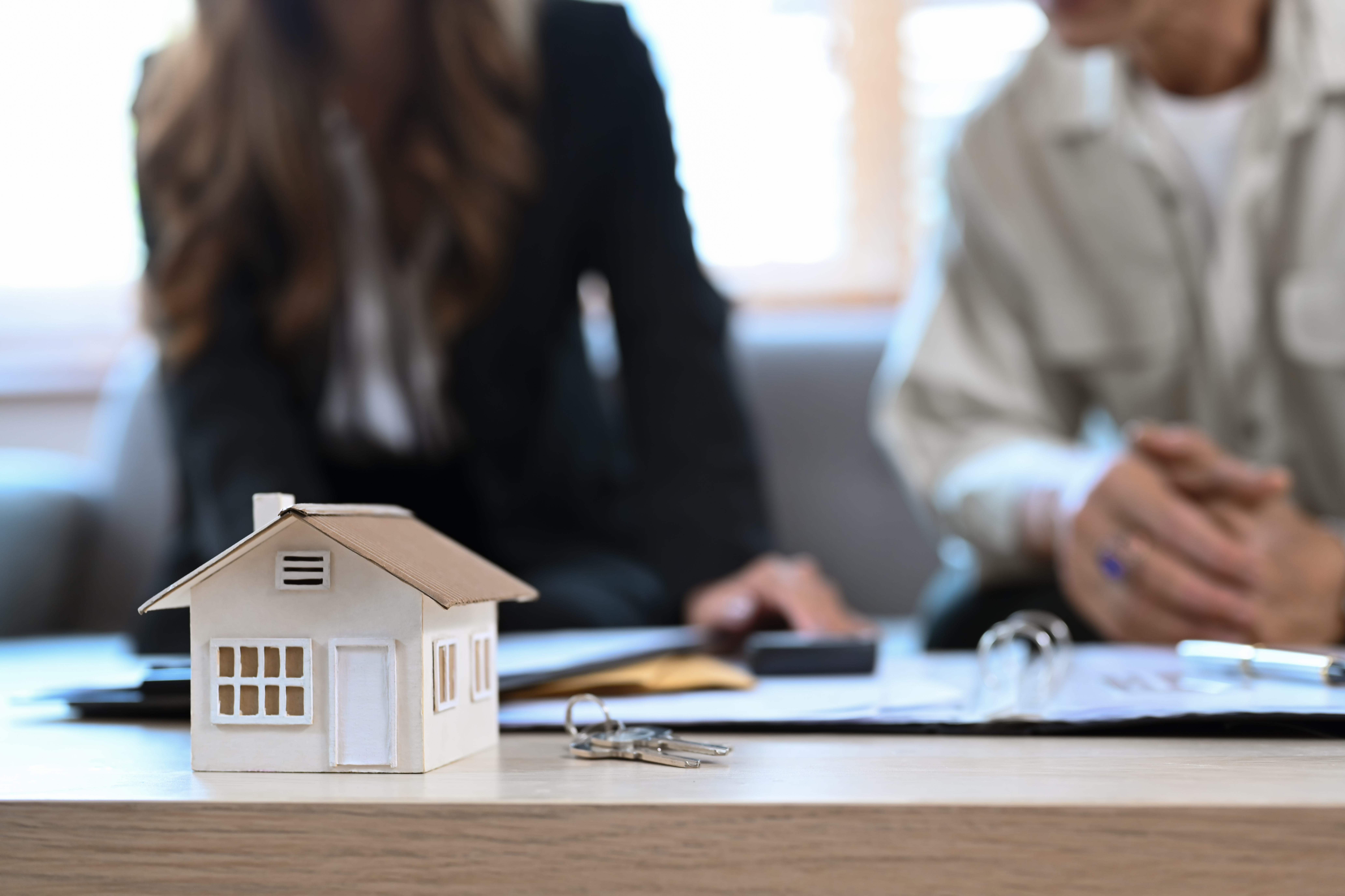 Platinum Property Services in Allentown, GA
