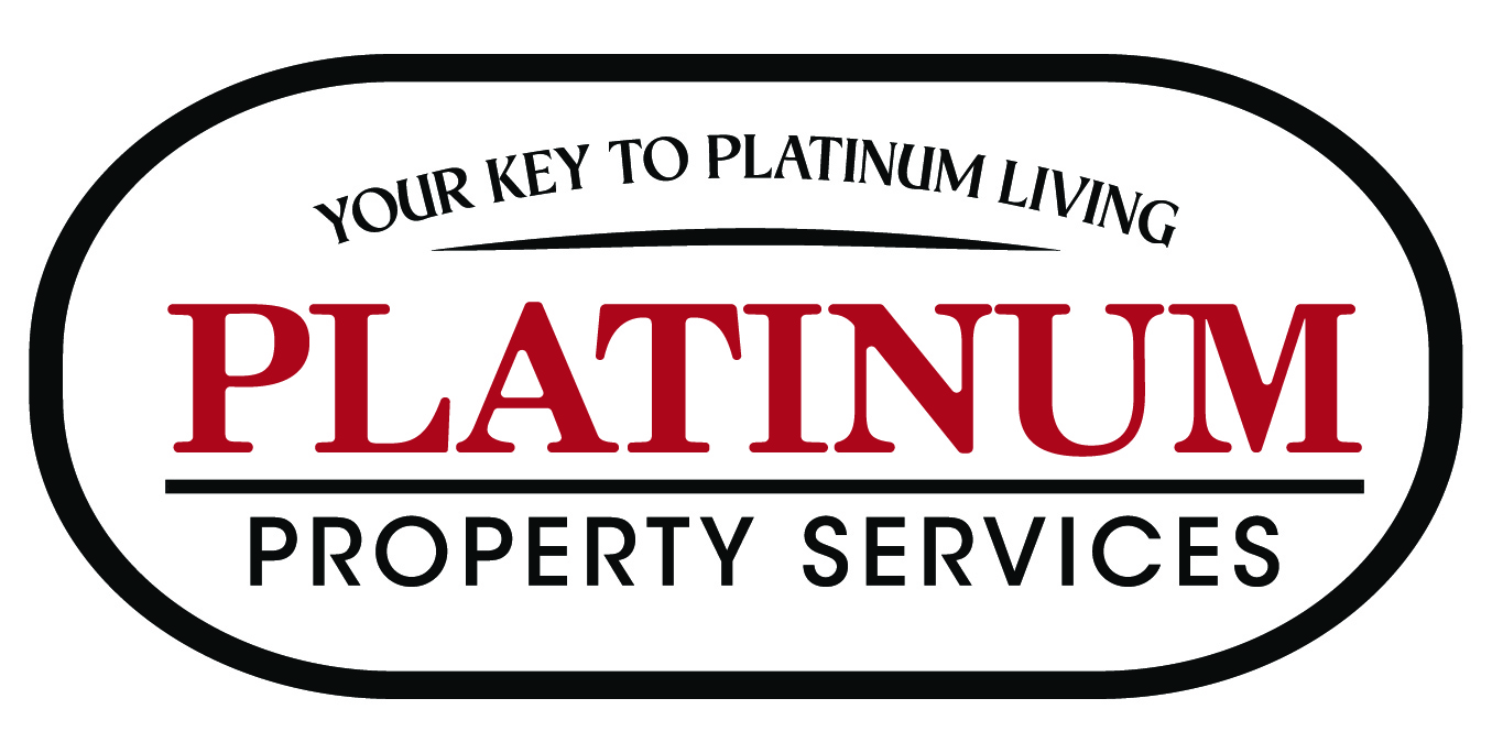 Platinum Property Services in Allentown, GA (2)