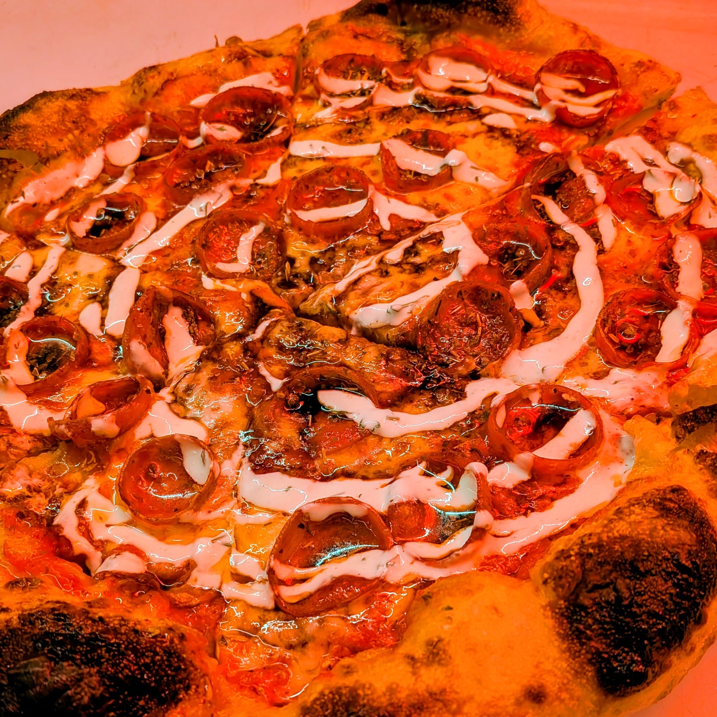 Nick's Garage Pizza Mobile LLC in Sandusky, OH (4)
