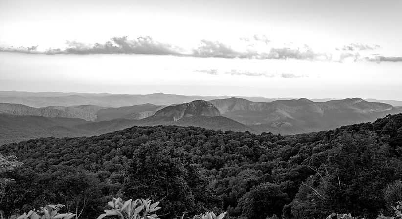 Asheville Attorney Barbara J. Bowers in Asheville, NC (3)