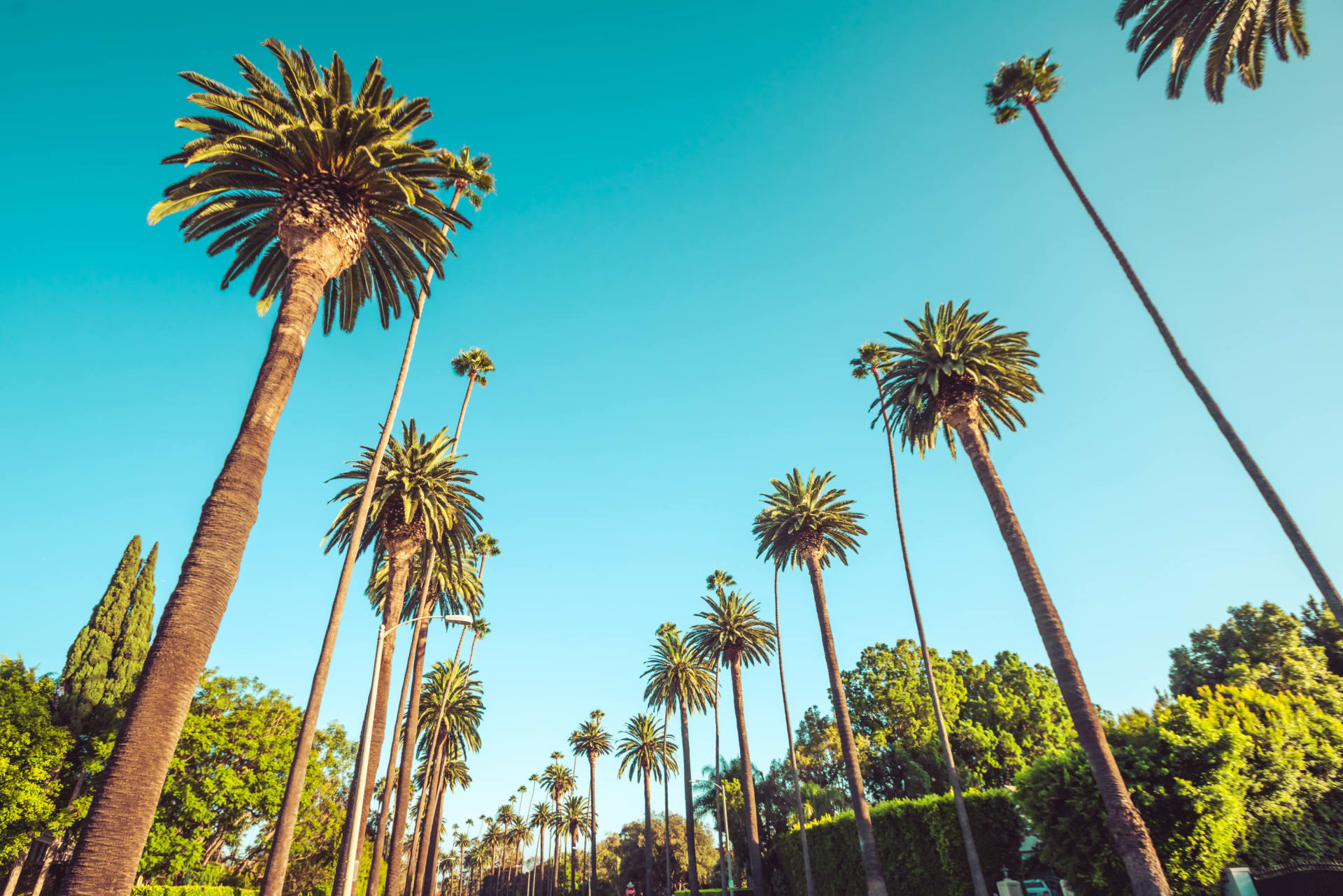 Melitta Johnson Real Estate in Torrance, CA (5)
