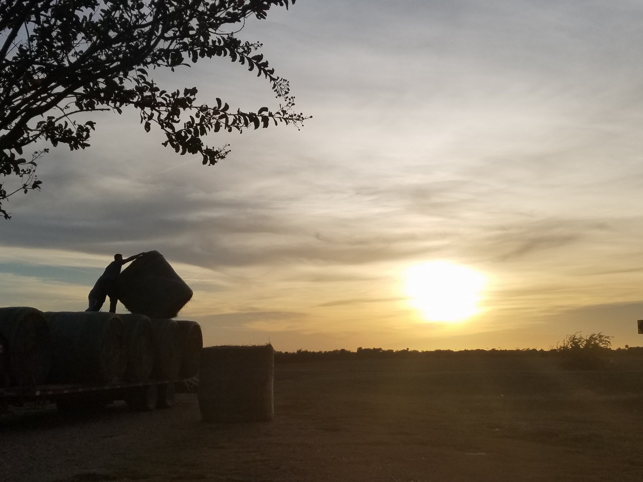 Fenceline Properties in Whitewright, TX