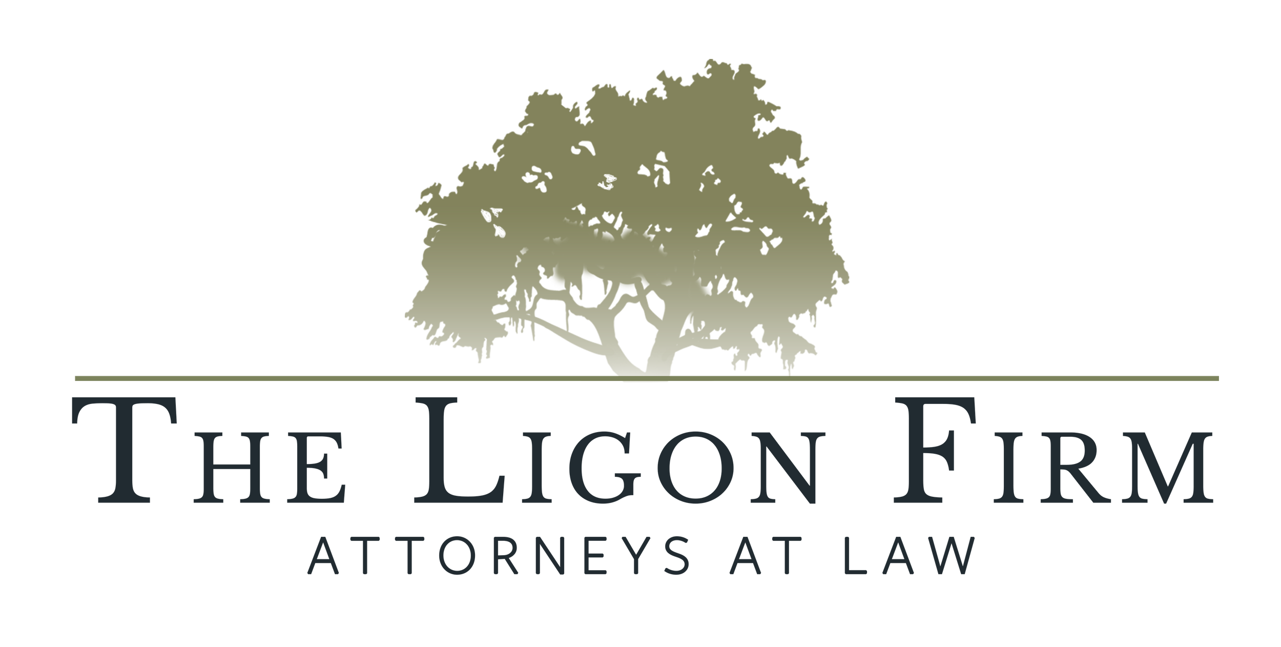 The Ligon Firm, P.C. in Brunswick, GA