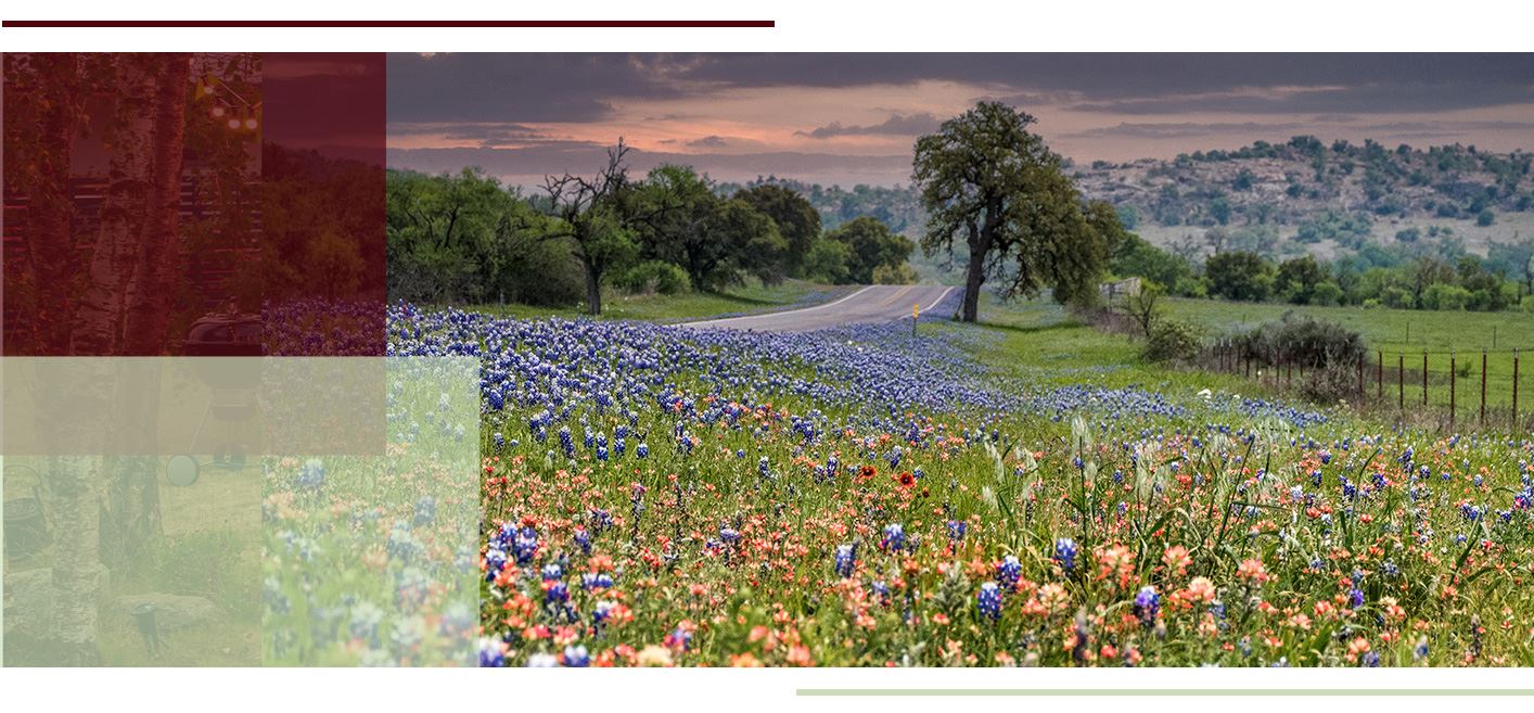 McNutt Law Firm PLLC. in San Marcos, TX