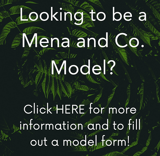 Mena and Co. Salon & Boutique in Modesto, CA