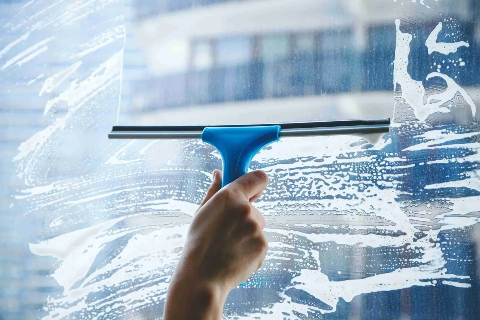 Mindy Maids & Janitorial Services Carpet Cleaning in Crp Christi, TX (5)