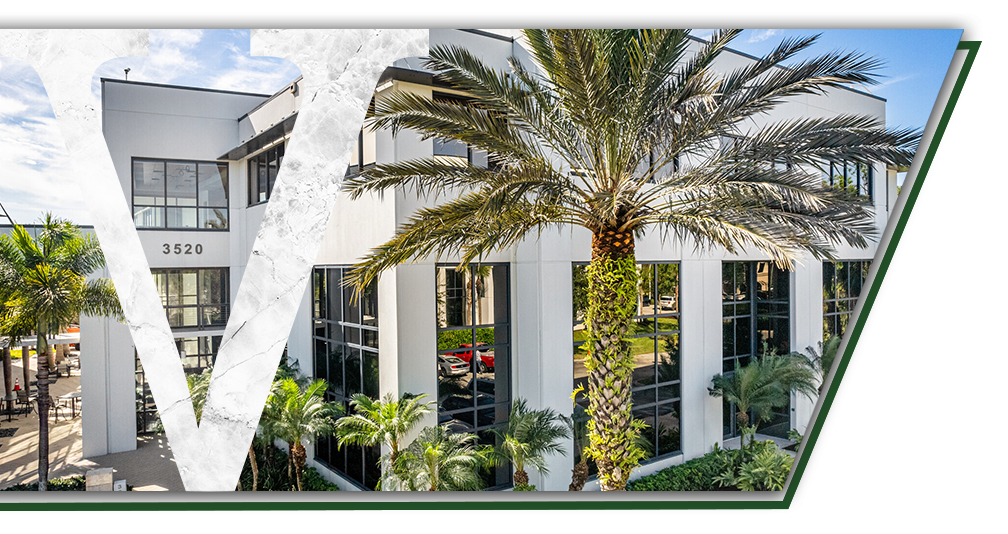 Vernon Litigation Group in Naples, FL (2)