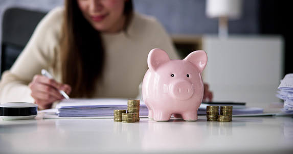Performance Tax Professionals in West New York, NJ (4)