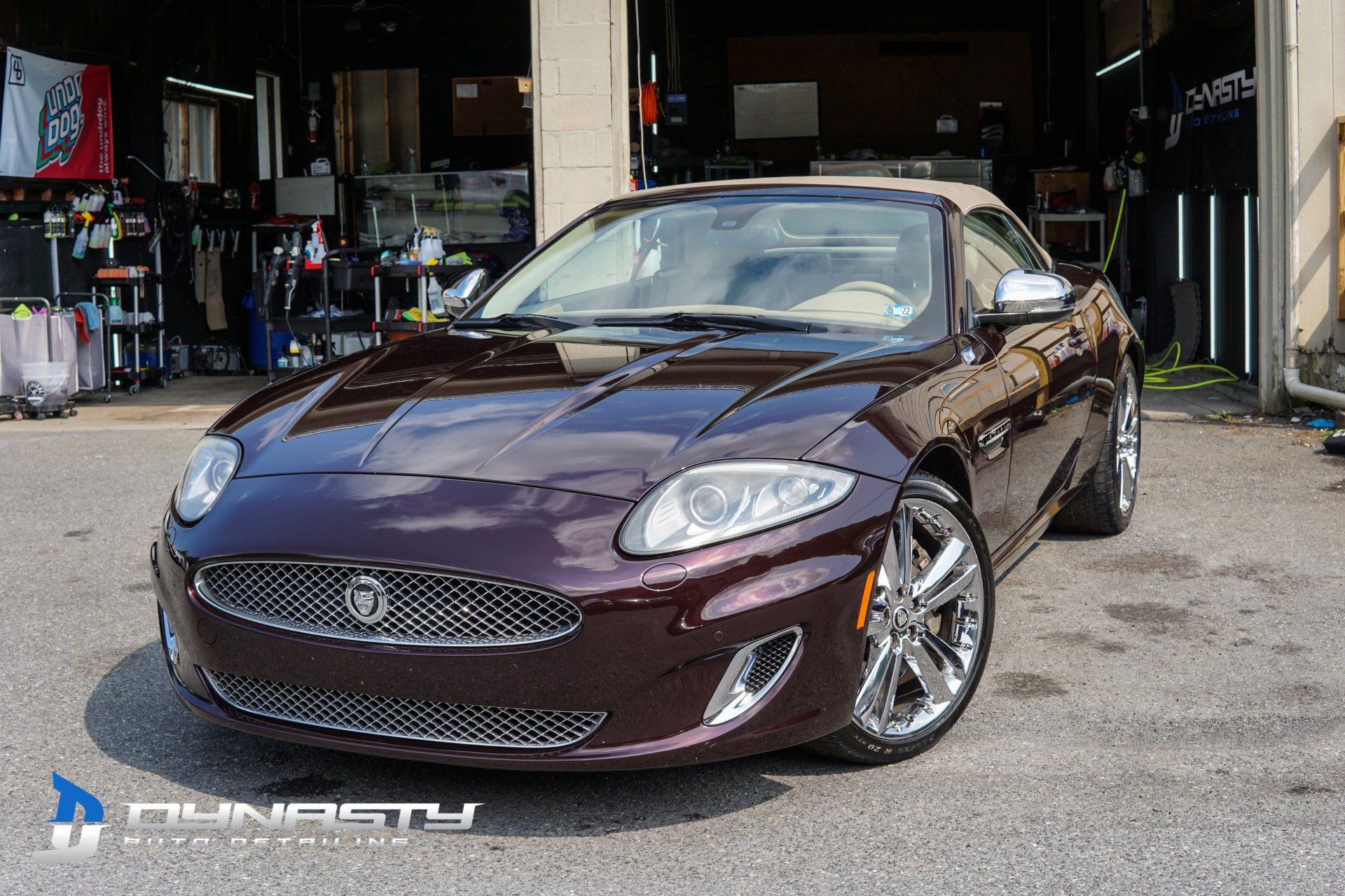Dynasty Auto Detailing - Ceramic Coating & Paint Correction in Brodheadsville, PA (4)