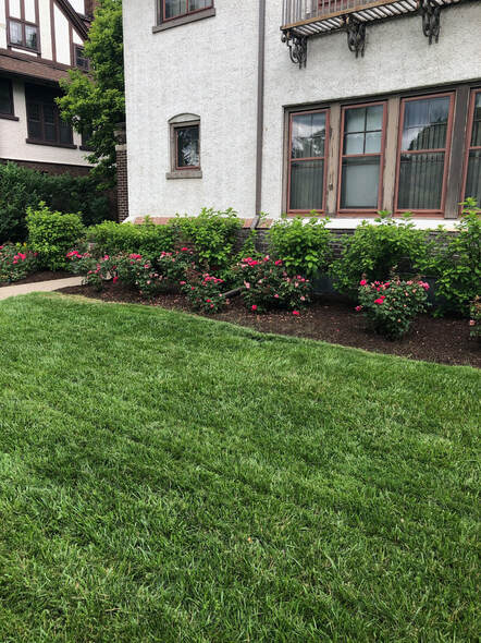 ABC Co. Landscaping in Grosse Pointe, MI (4)