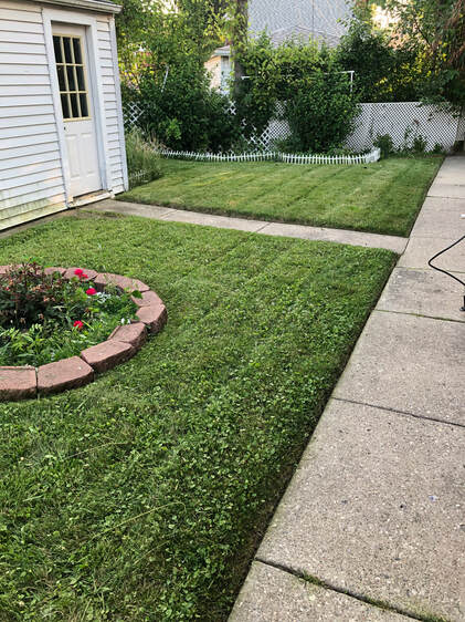 ABC Co. Landscaping in Grosse Pointe, MI (5)