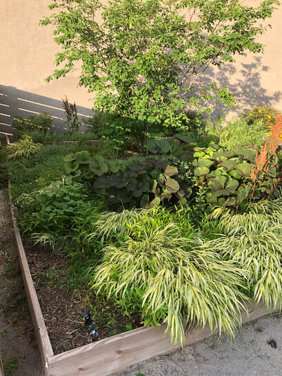ABC Co. Landscaping in Grosse Pointe, MI (6)