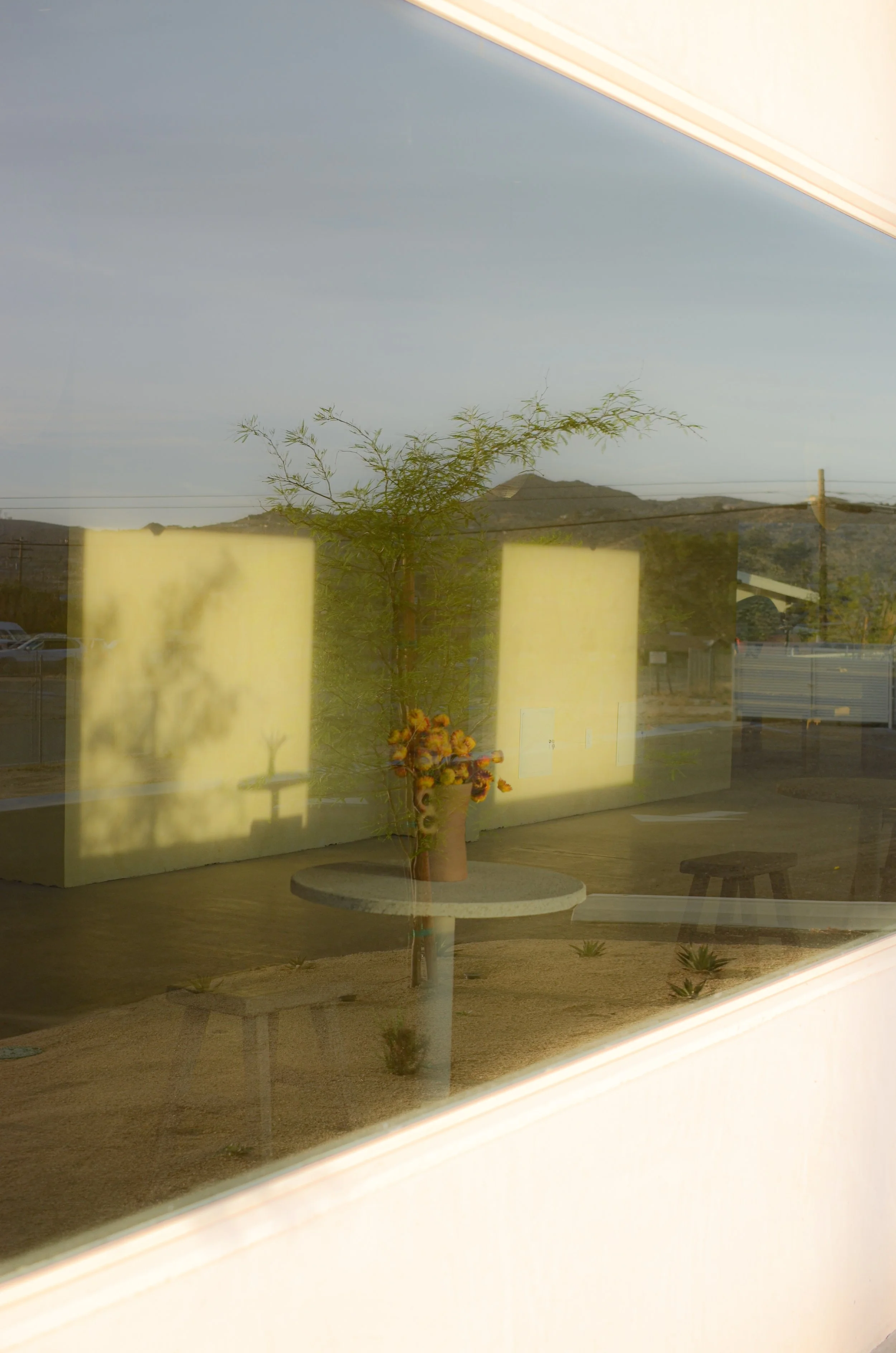 Nice Dream in Yucca Valley, CA