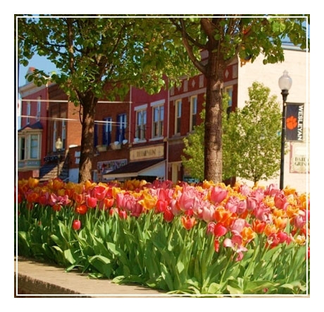 Buckhannon-Upshur Chamber-Commerce in Buckhannon, WV (4)
