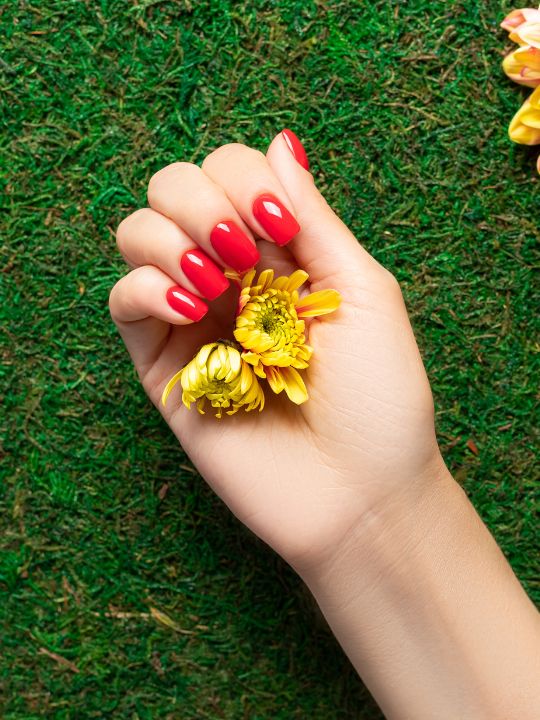 Milano Nail Lounge in Columbus, GA (3)