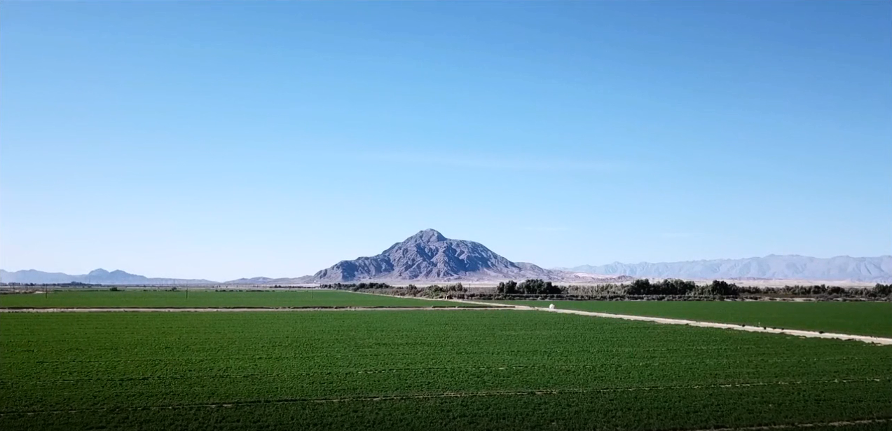 The Dahm Team Real Estate Company, Inc. in El Centro, CA