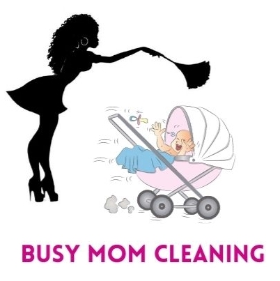 Busy Mom Cleaning in Punta Gorda, FL (6)
