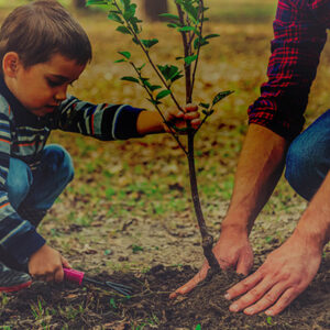 Cape Fear Family Law - Jacksonville in Jacksonville, NC (2)