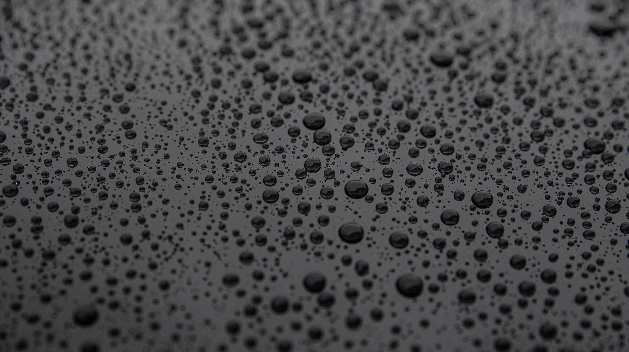 Mendoza Auto Detailing in Corpus Christi, TX (4)