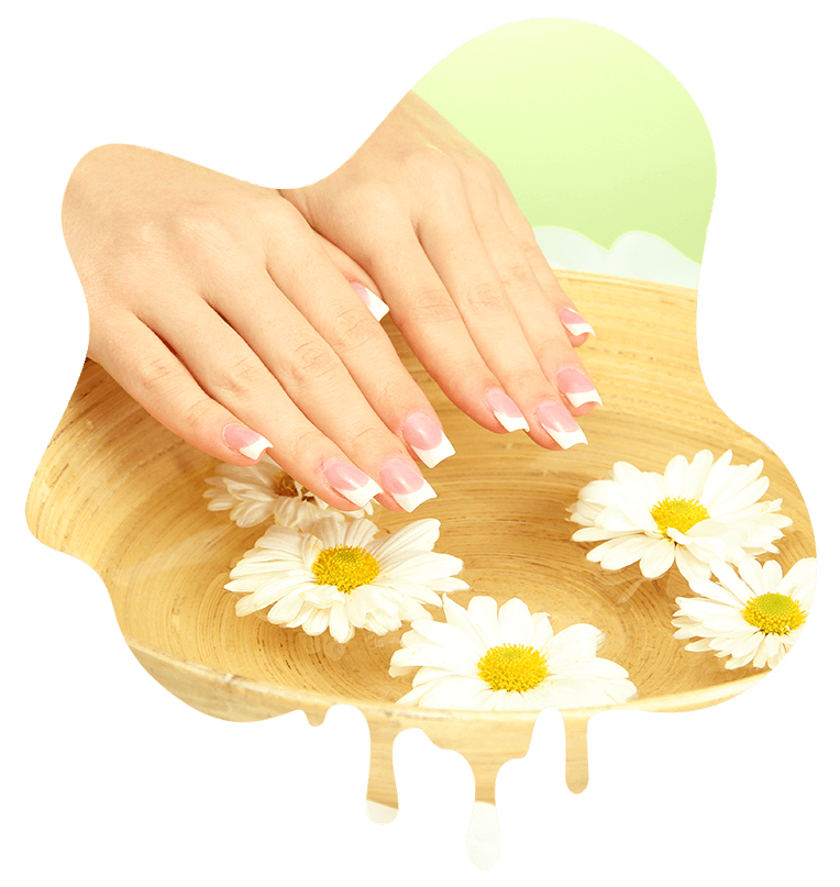 Honey Bee Nails And Spa in Wood Dale, IL (4)