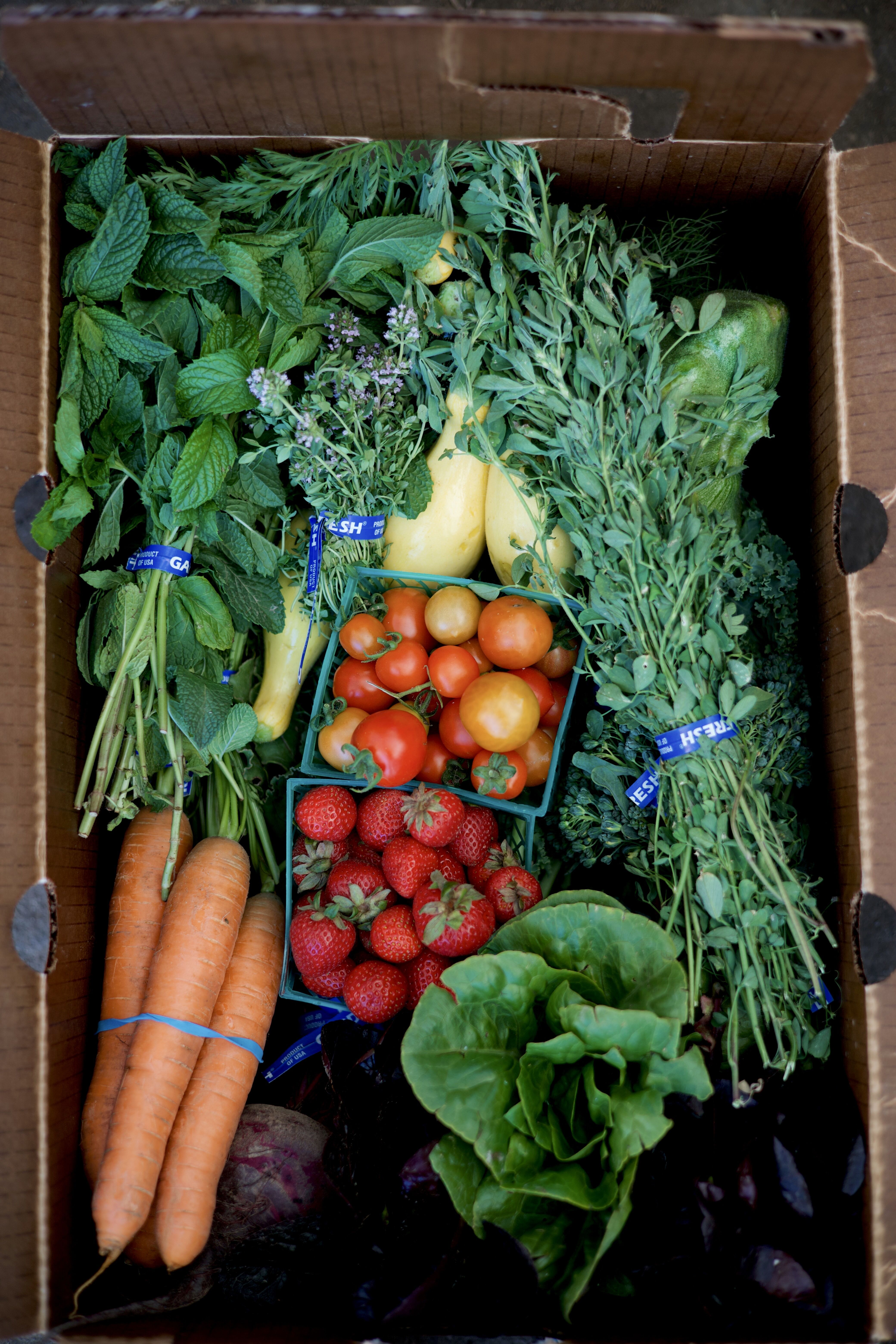 Cultiva in San Juan Bautista, CA