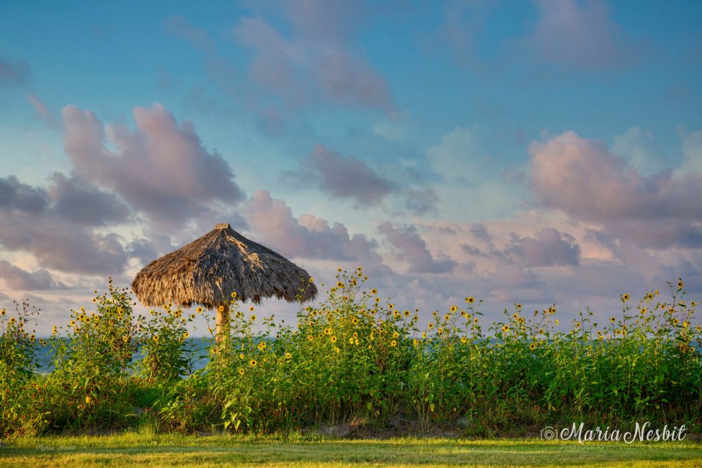 Jennifer Pace REALTOR®, Broker/ Owner, J. Michelle Realty in Rockport, TX (4)