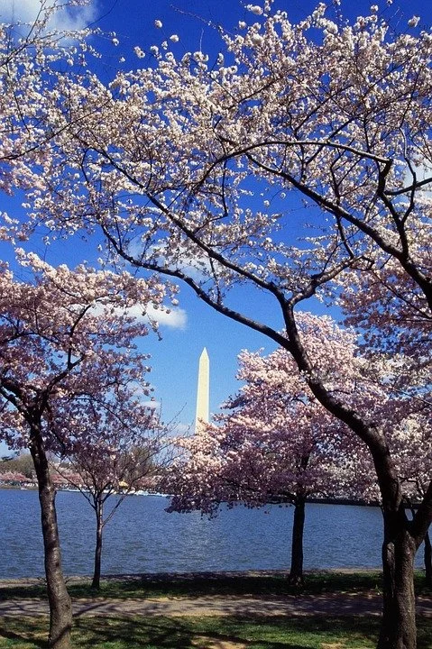 4J Real Estate, LLC in Washington, DC (4)