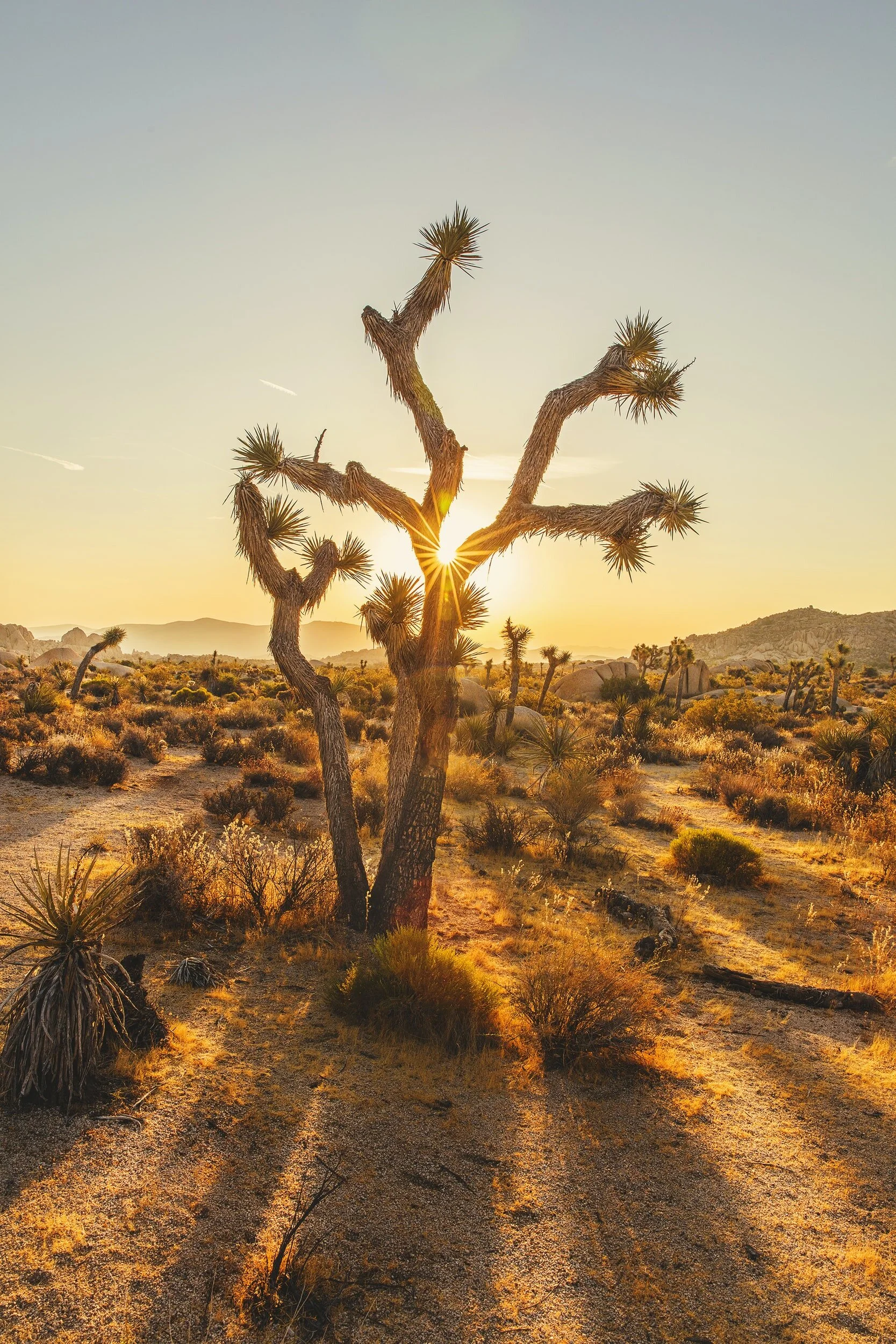 Women's Center-High Desert, Inc. in Ridgecrest, CA