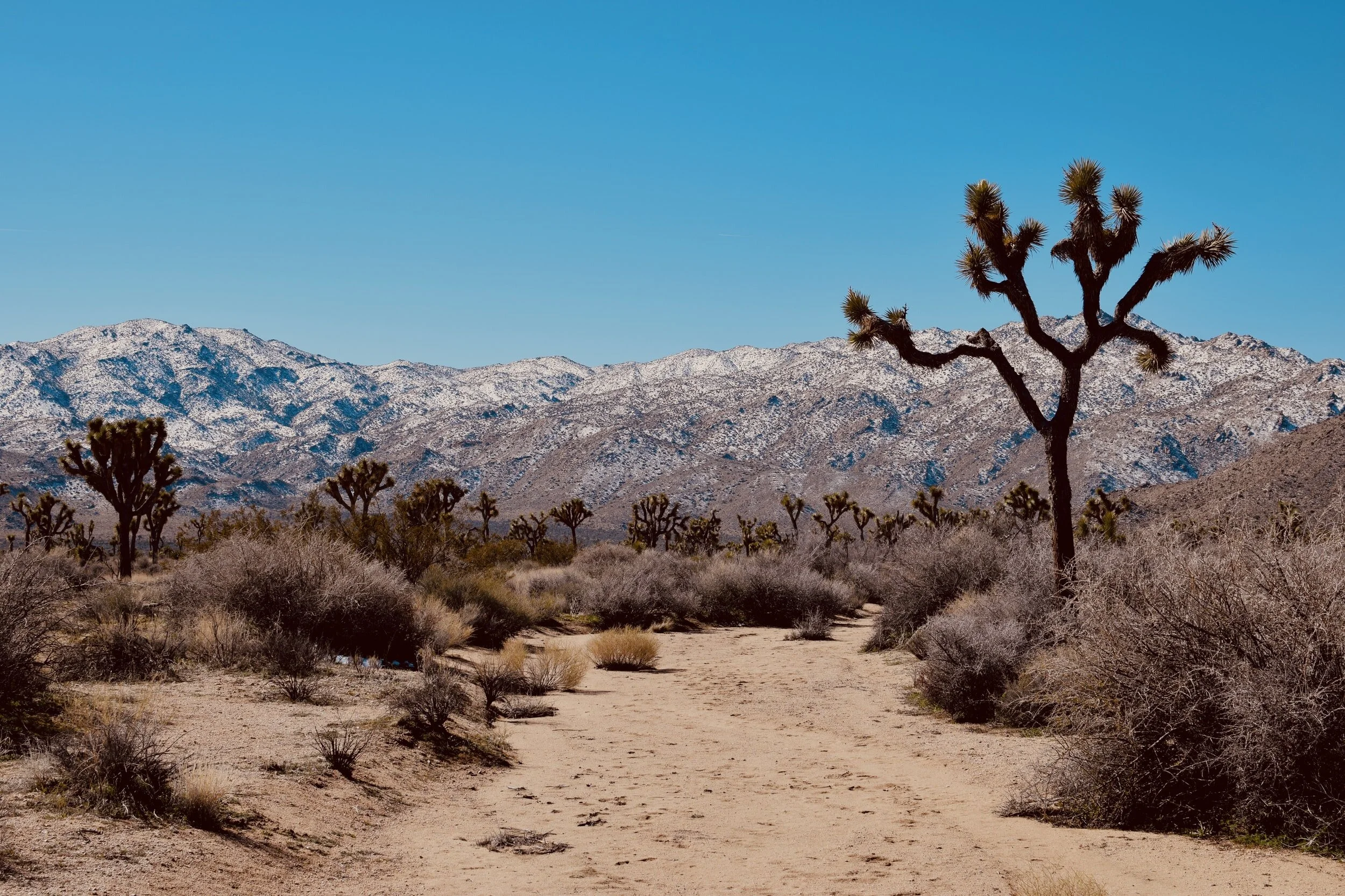 Women's Center-High Desert, Inc. in Ridgecrest, CA (2)