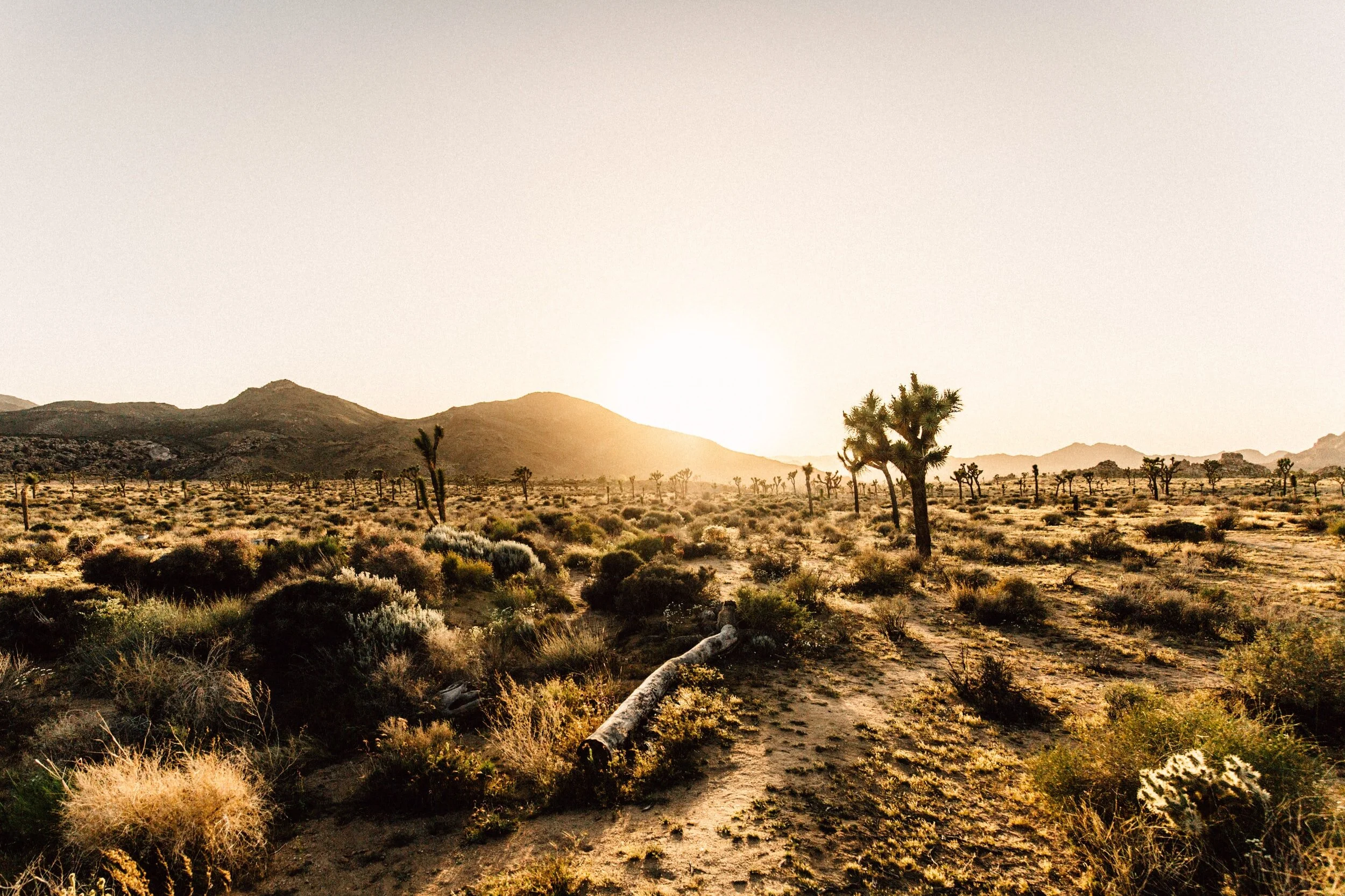 Women's Center-High Desert, Inc. in Ridgecrest, CA (3)
