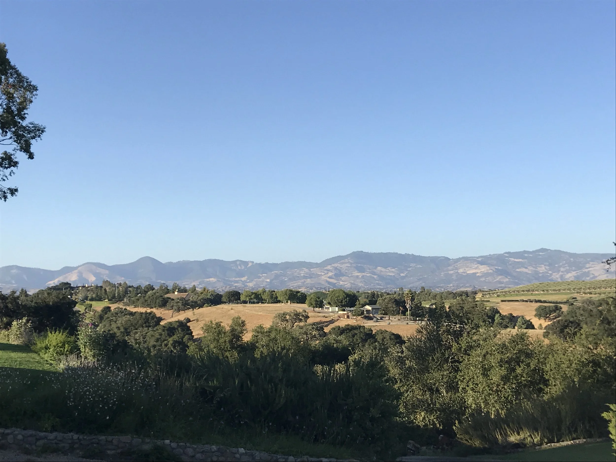 Redell Halme in Solvang, CA