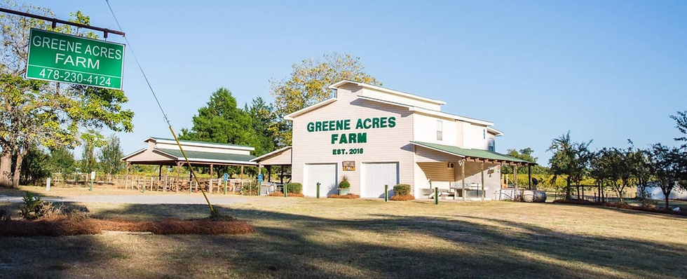 Greene Acres Farm in Cochran, GA (3)