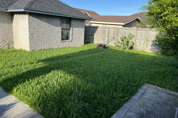 Quick Cuts Landscaping and More in Harlingen, TX