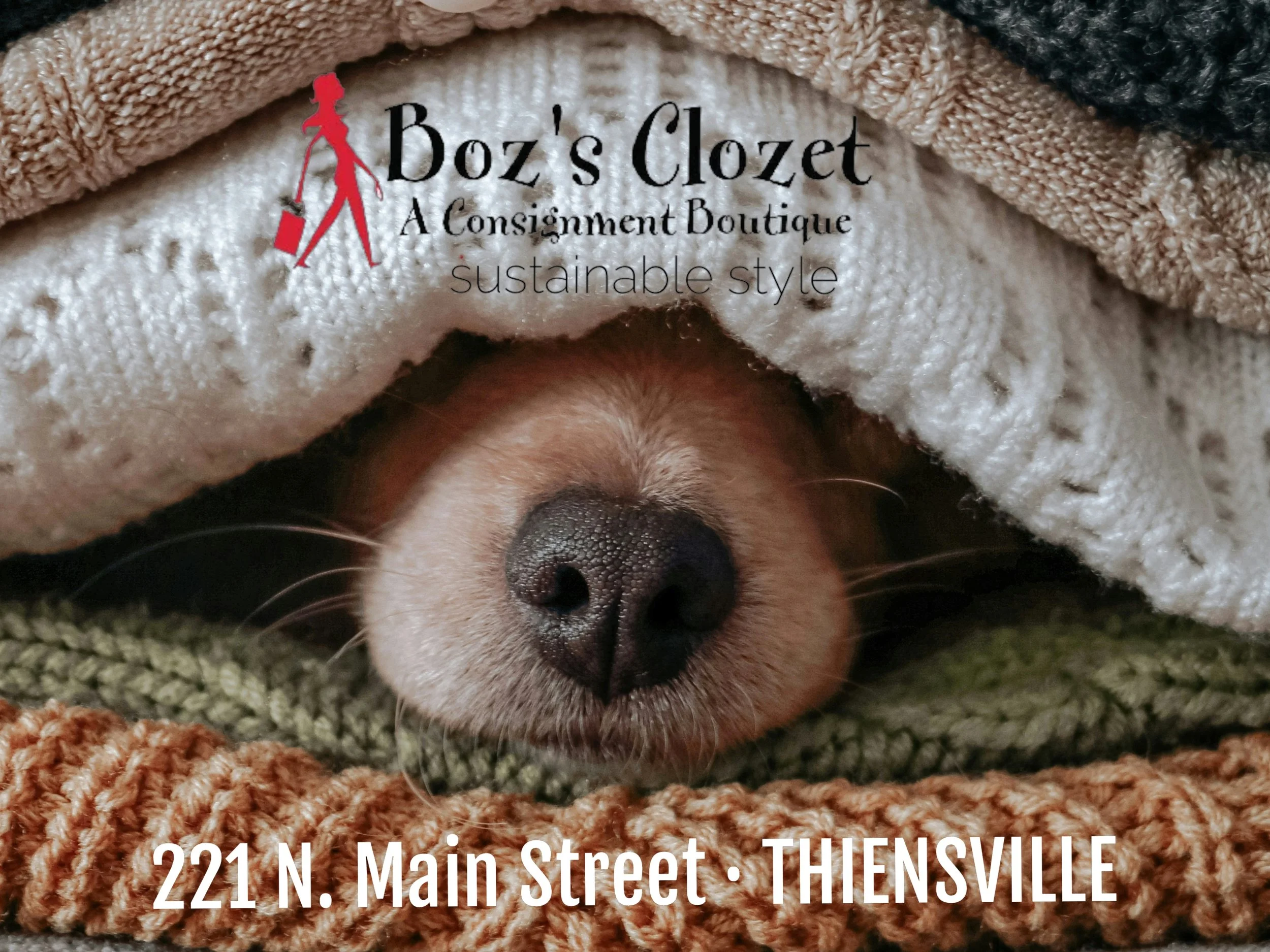 Boz's Clozet in Thiensville, WI (3)