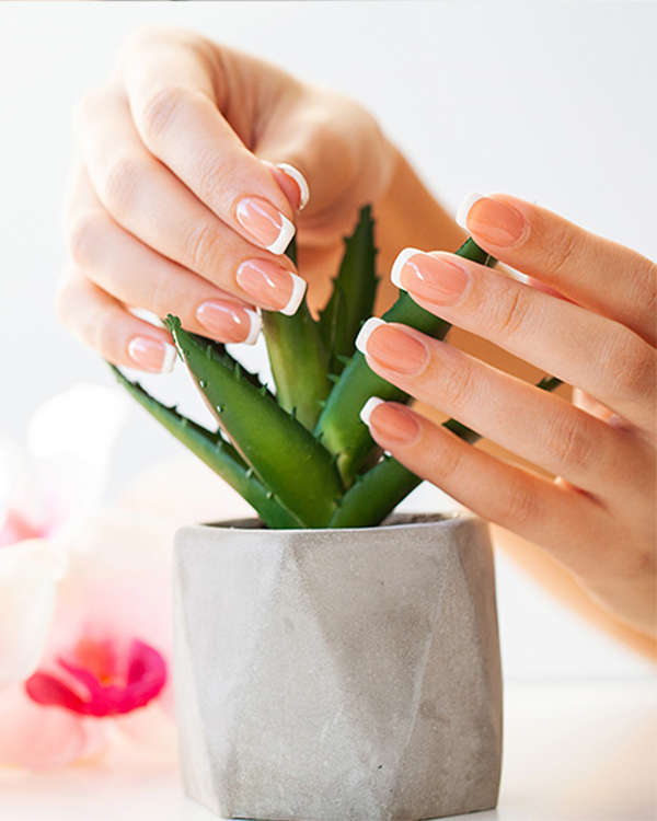 iQ Nails & Spa in Baton Rouge, LA (4)