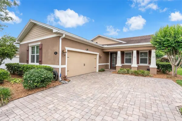 Tammy Hall, Realtor with LPT Realty in Debary, FL (5)
